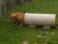 Sunny Und Cara